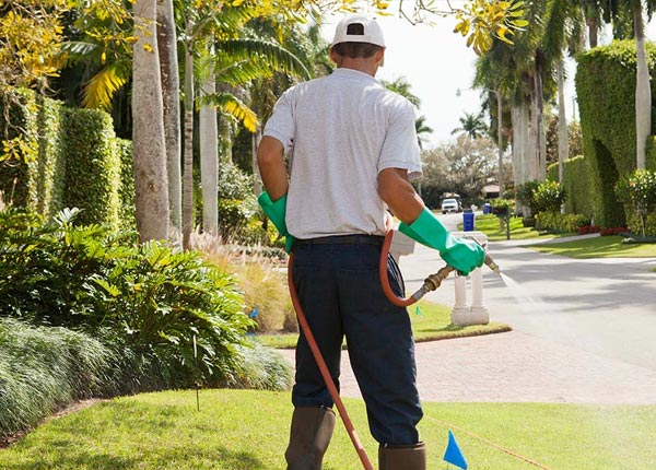 About Newport ME Pest Control Pros